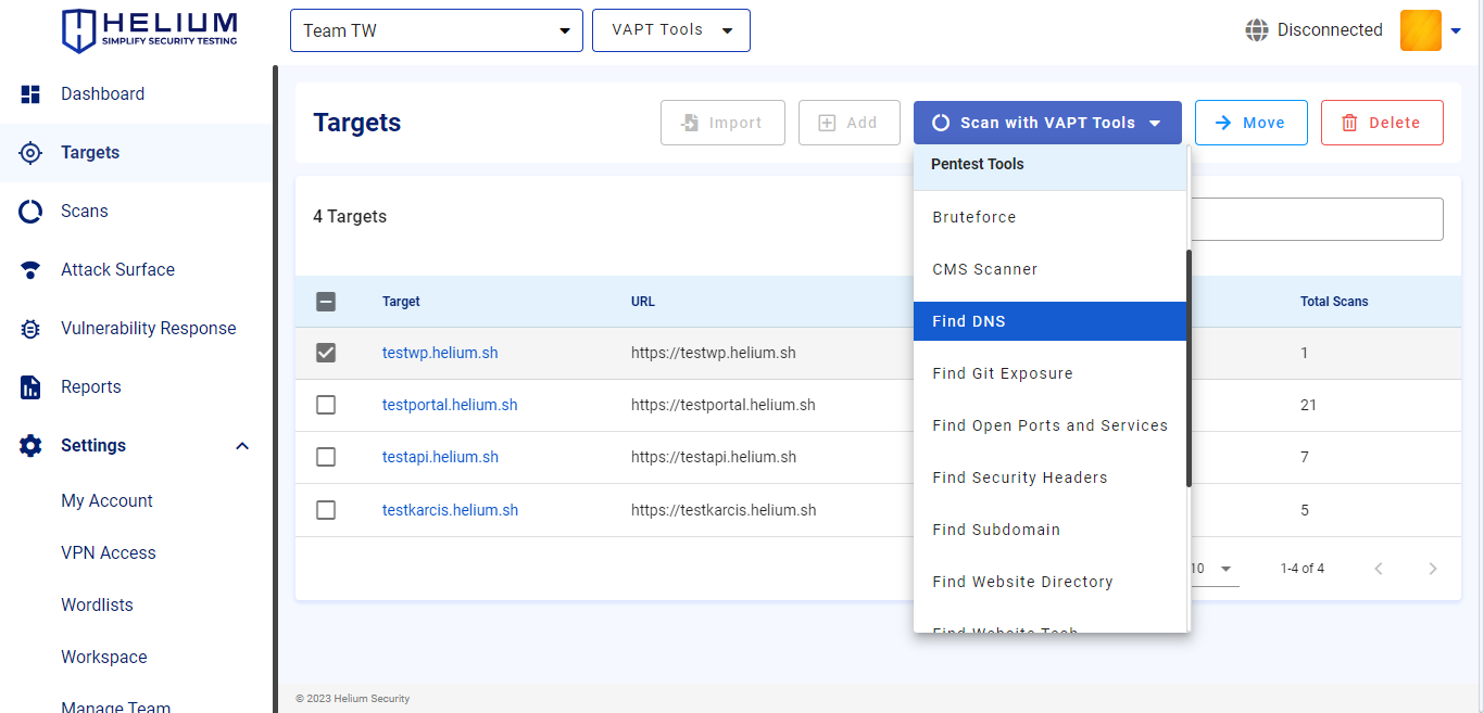 Select Find DNS Capture