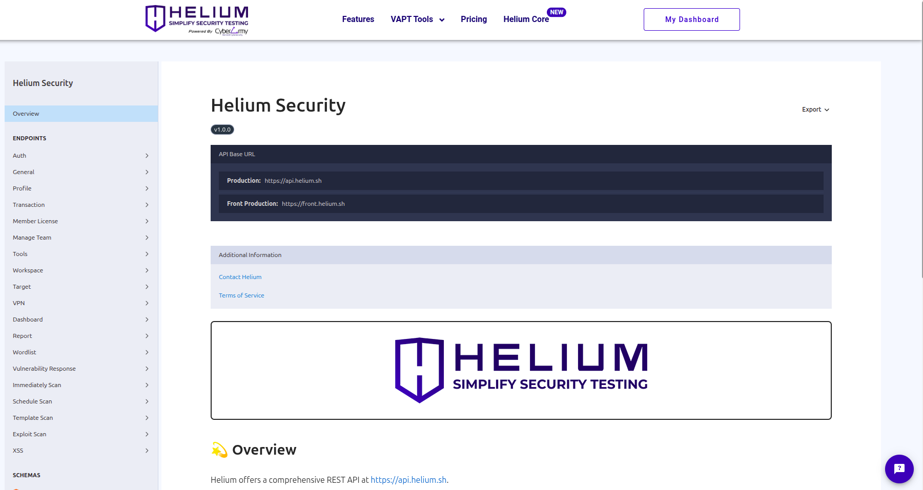 API Documentation Capture